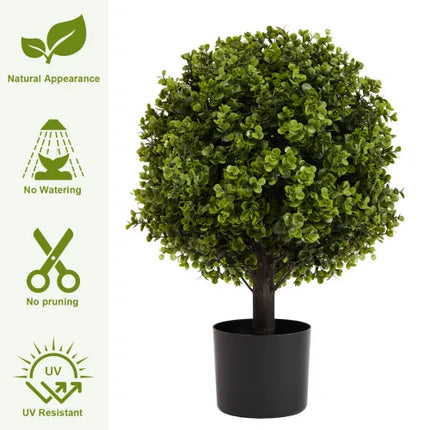 22-Inch Potted Boxwood Topiary Shrubs — 2-Piece Set