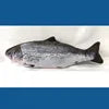 USB-Rechargeable Moving Fish Catnip Toy