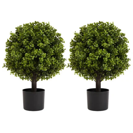 22-Inch Potted Boxwood Topiary Shrubs — 2-Piece Set