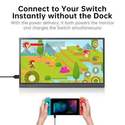 15.6-Inch FHD IPS USB-C Portable Monitor