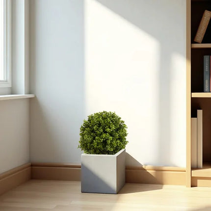 22-Inch Potted Boxwood Topiary Shrubs — 2-Piece Set