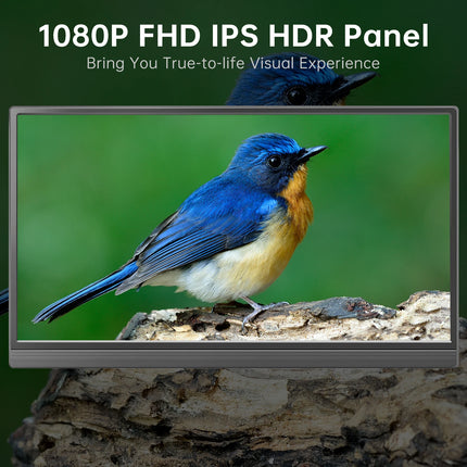 15.6-Inch FHD IPS USB-C Portable Monitor