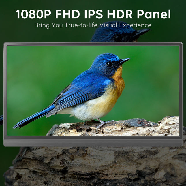 15.6-Inch FHD IPS USB-C Portable Monitor